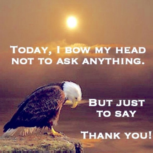 CLOSED - Picture 7 of 15